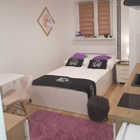 Apartamenty Centrum Panoramiczna Mala Dwojka Swan Labedz Promenada Klimatyzacja Lodowa Kielce Eksteriør bilde
