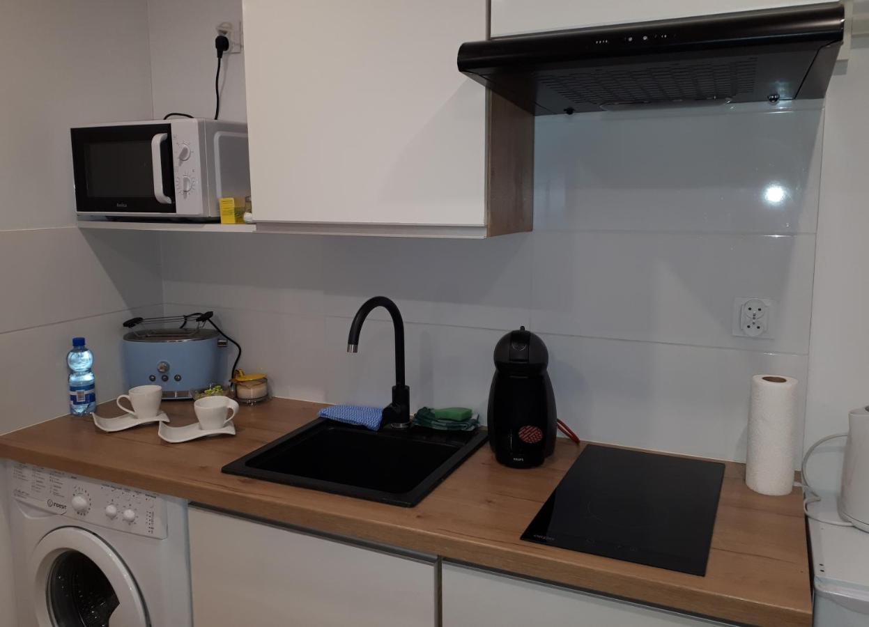 Apartamenty Centrum Panoramiczna Mala Dwojka Swan Labedz Promenada Klimatyzacja Lodowa Kielce Eksteriør bilde