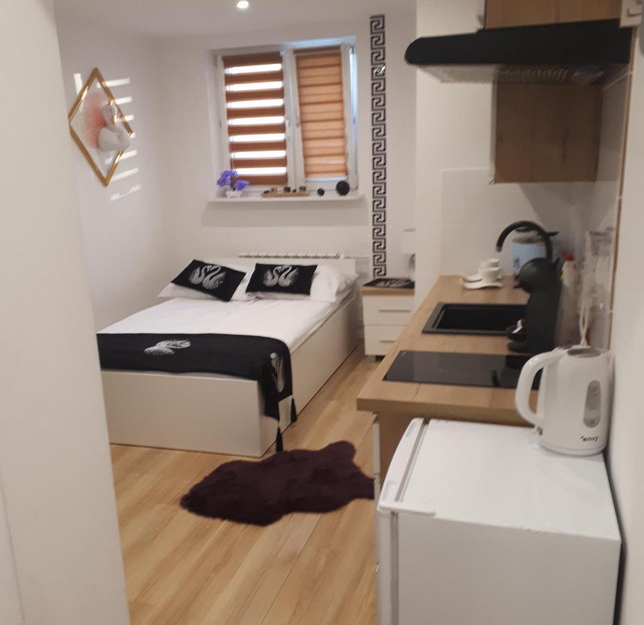 Apartamenty Centrum Panoramiczna Mala Dwojka Swan Labedz Promenada Klimatyzacja Lodowa Kielce Eksteriør bilde