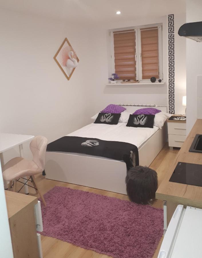 Apartamenty Centrum Panoramiczna Mala Dwojka Swan Labedz Promenada Klimatyzacja Lodowa Kielce Eksteriør bilde