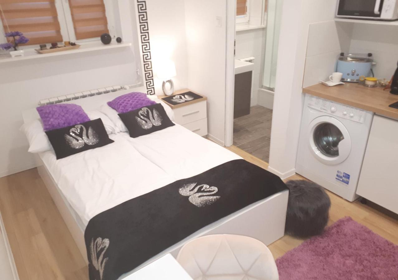 Apartamenty Centrum Panoramiczna Mala Dwojka Swan Labedz Promenada Klimatyzacja Lodowa Kielce Eksteriør bilde