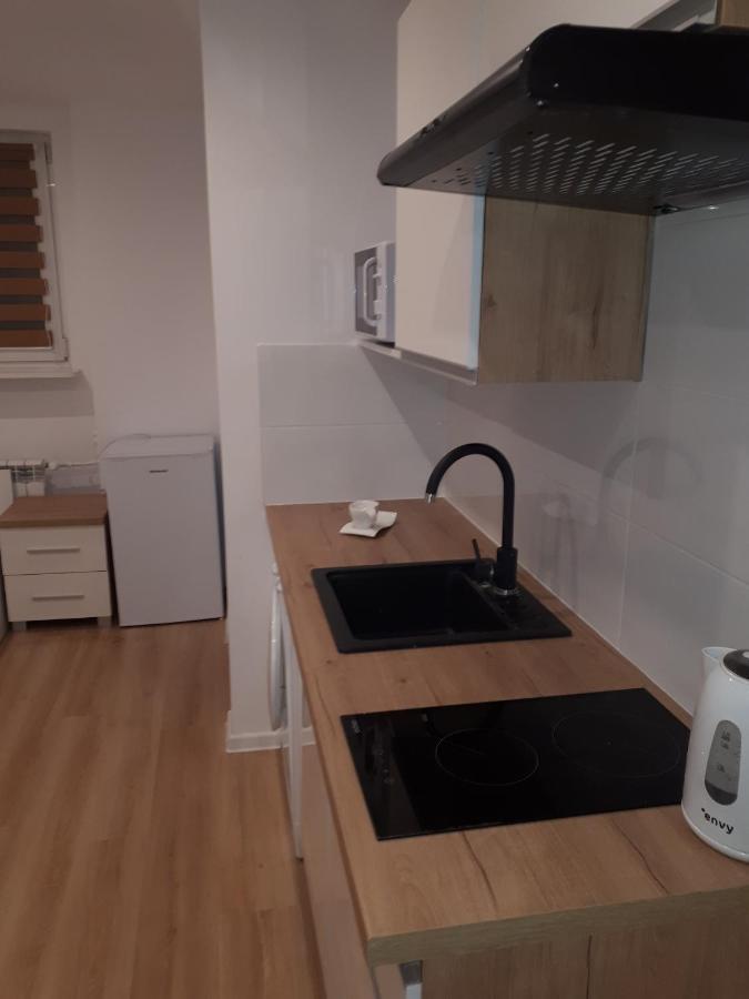 Apartamenty Centrum Panoramiczna Mala Dwojka Swan Labedz Promenada Klimatyzacja Lodowa Kielce Eksteriør bilde